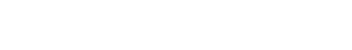 80+ languages